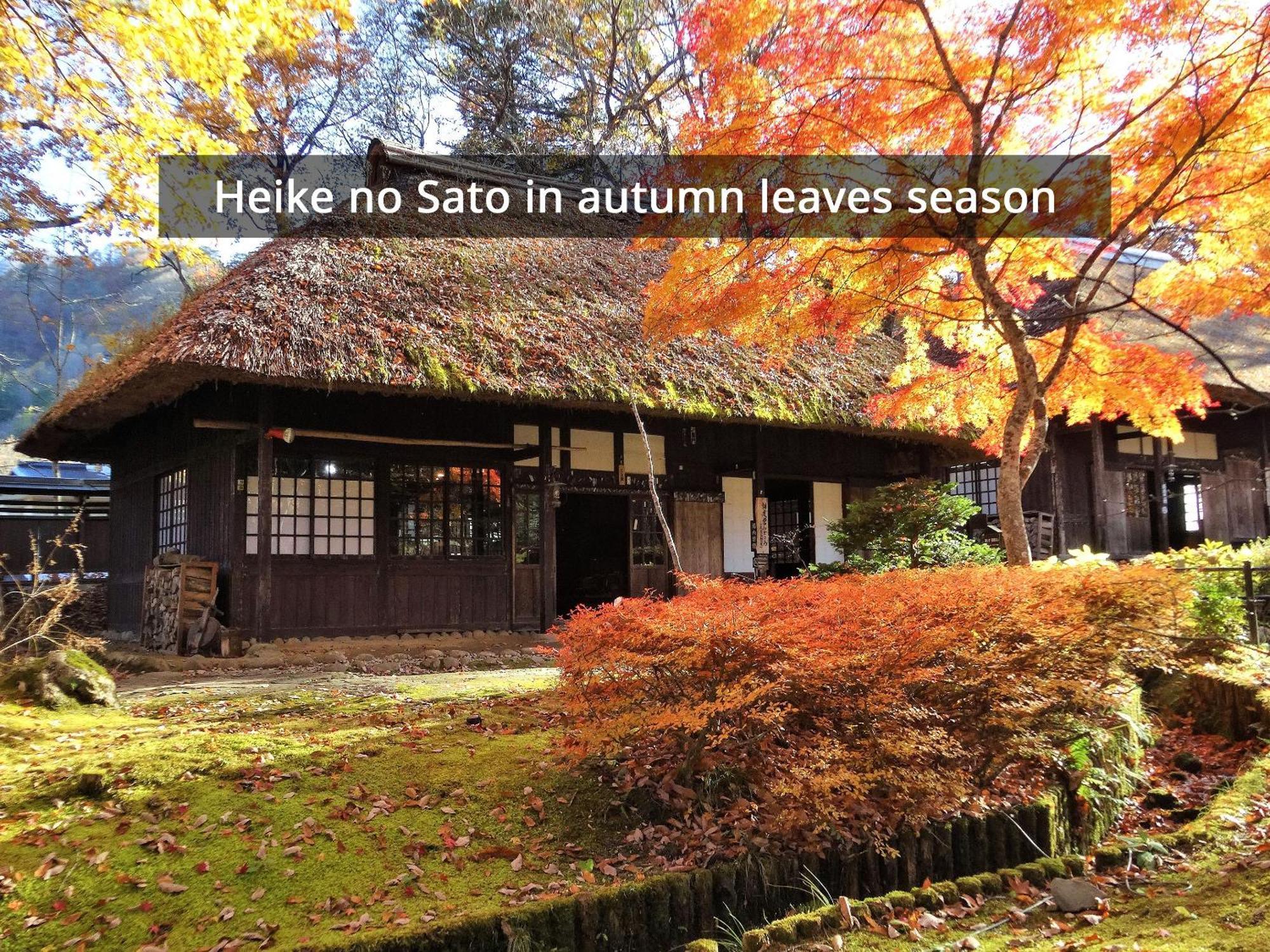 旅館 日光湯西川 平家本陣 4*
